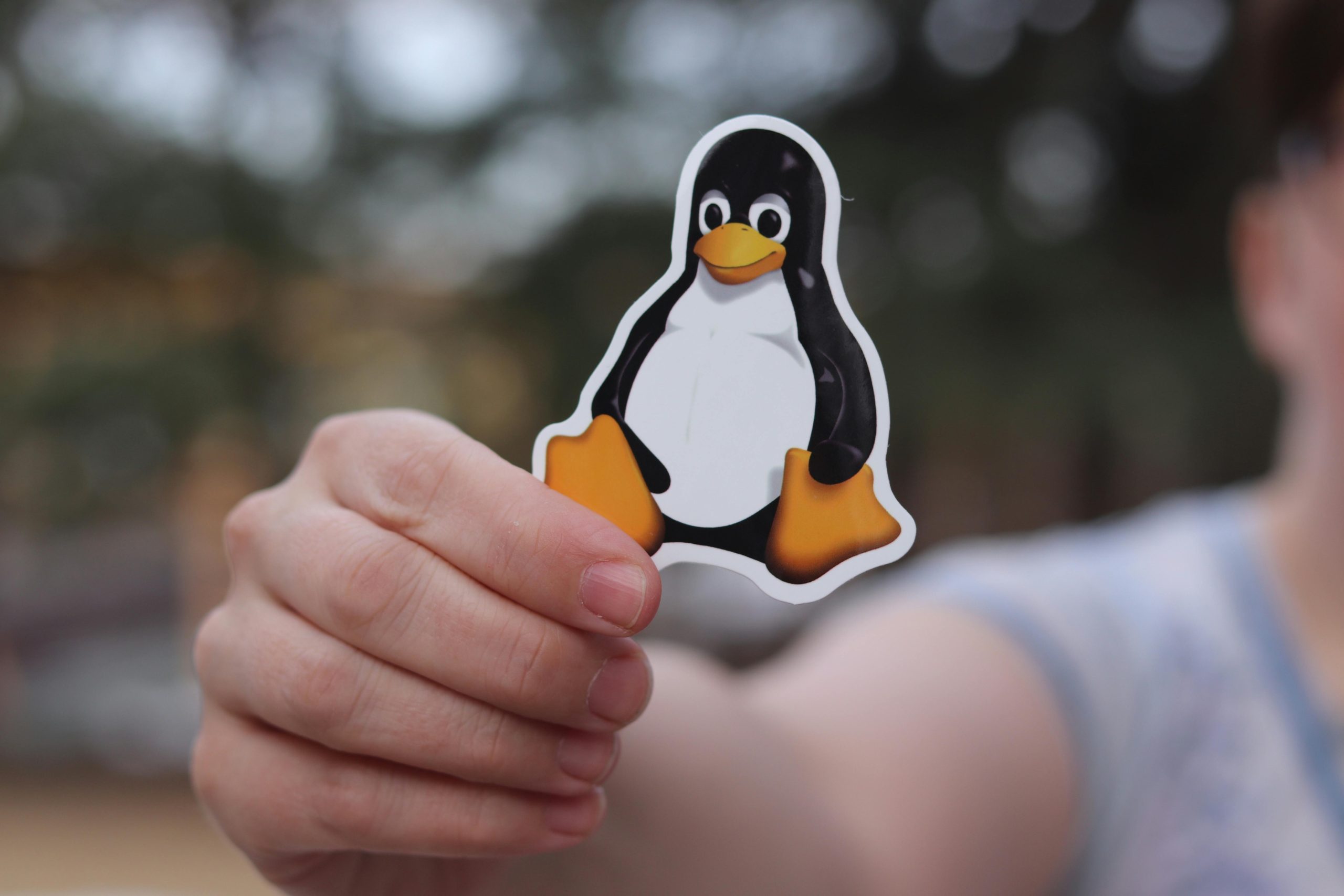 A close-up shot of a hand holding a penguin sticker against a blurred outdoor background.